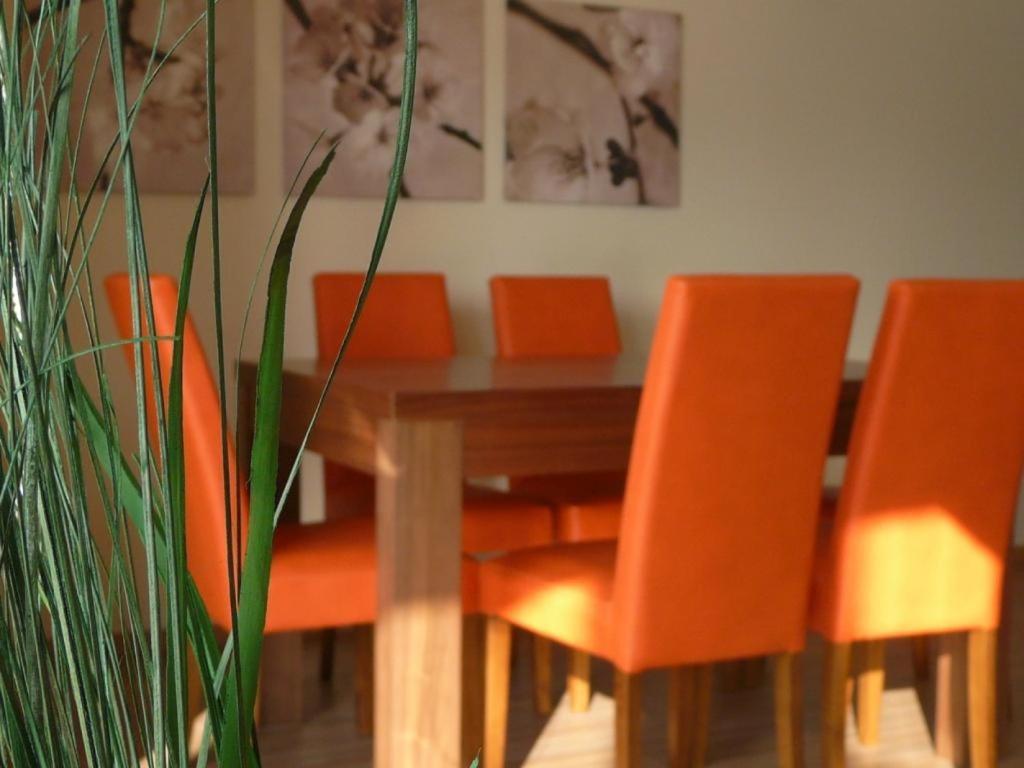 Apartamenty Wislany Brzeg Устронь Екстер'єр фото
